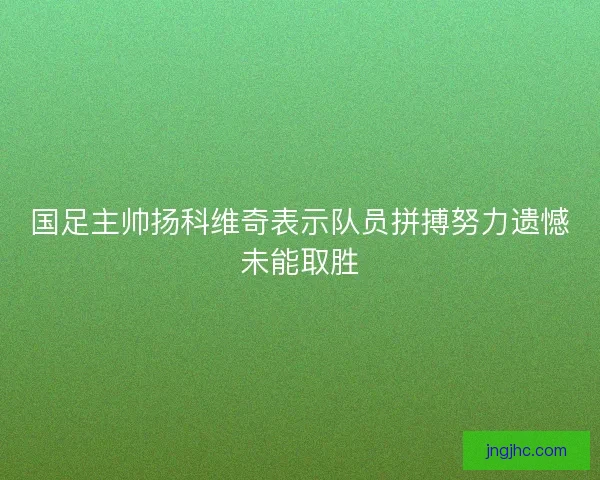 国足主帅扬科维奇表示队员拼搏努力遗憾未能取胜 国足主帅扬科维奇表示队员拼搏努力遗憾未能取胜